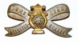 Знак 25 лет членства в музыкальном обществе.